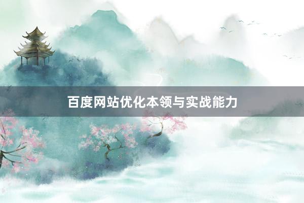 百度网站优化本领与实战能力
